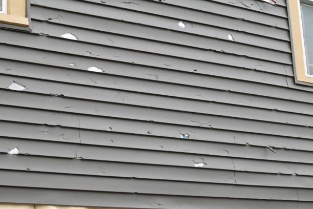 Siding for Commercial Buildings in West Bishop, CA